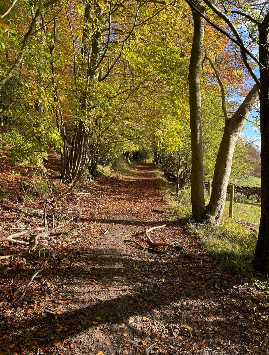 A walk in the valley